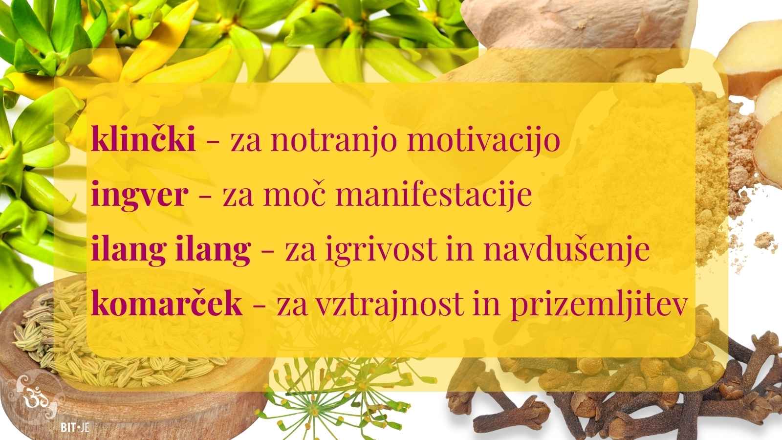 Kolaž klinčkov, ingverja, ilang ilanga in komarčka z njihovimi aromaterapevtskimi sporočili za mesec avgust.