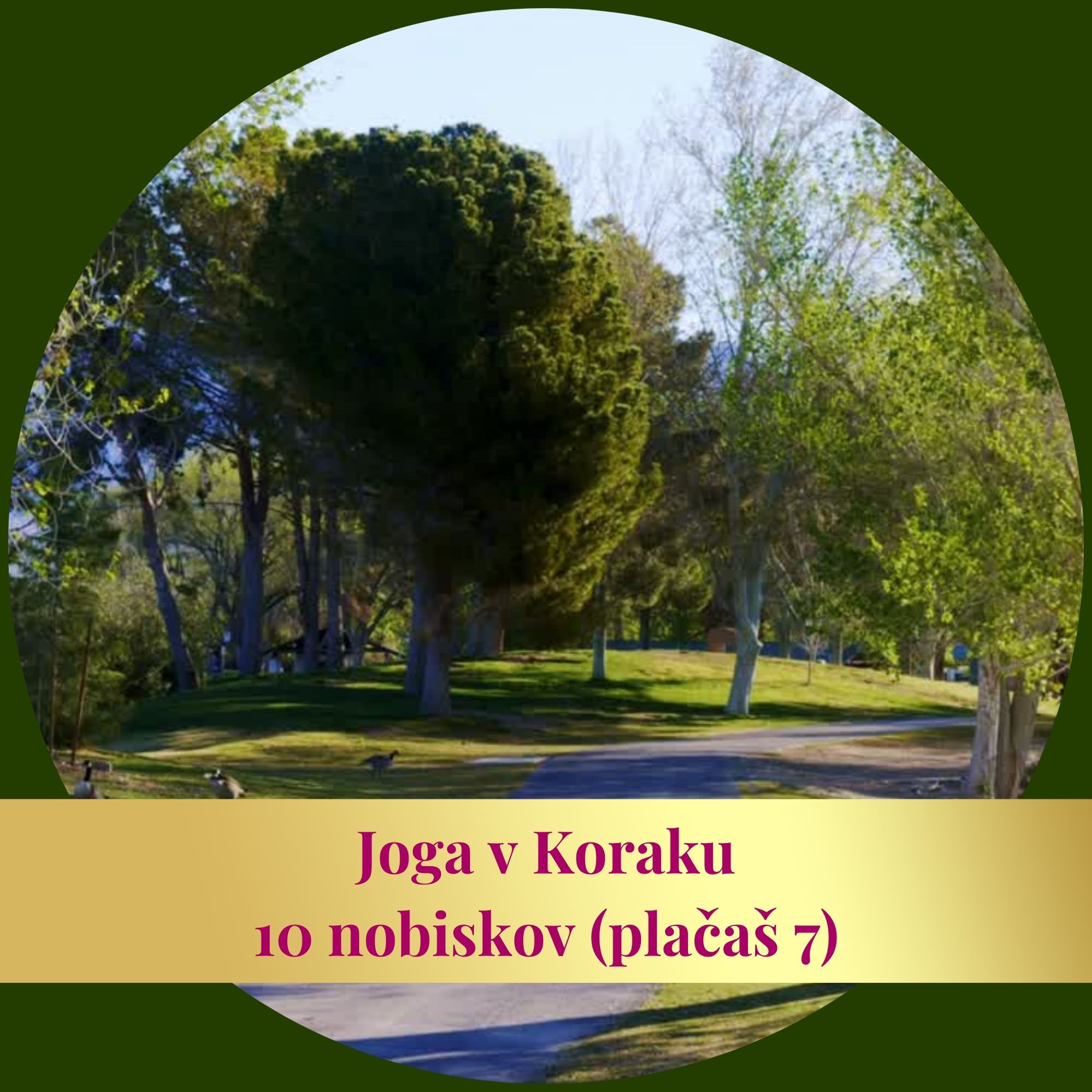 Joga v Koraku z Naravo - paket 10 obiskov