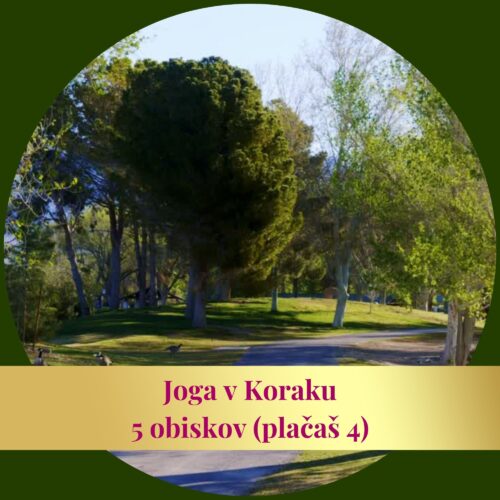 Joga v Koraku z Naravo - paket 5 obiskov