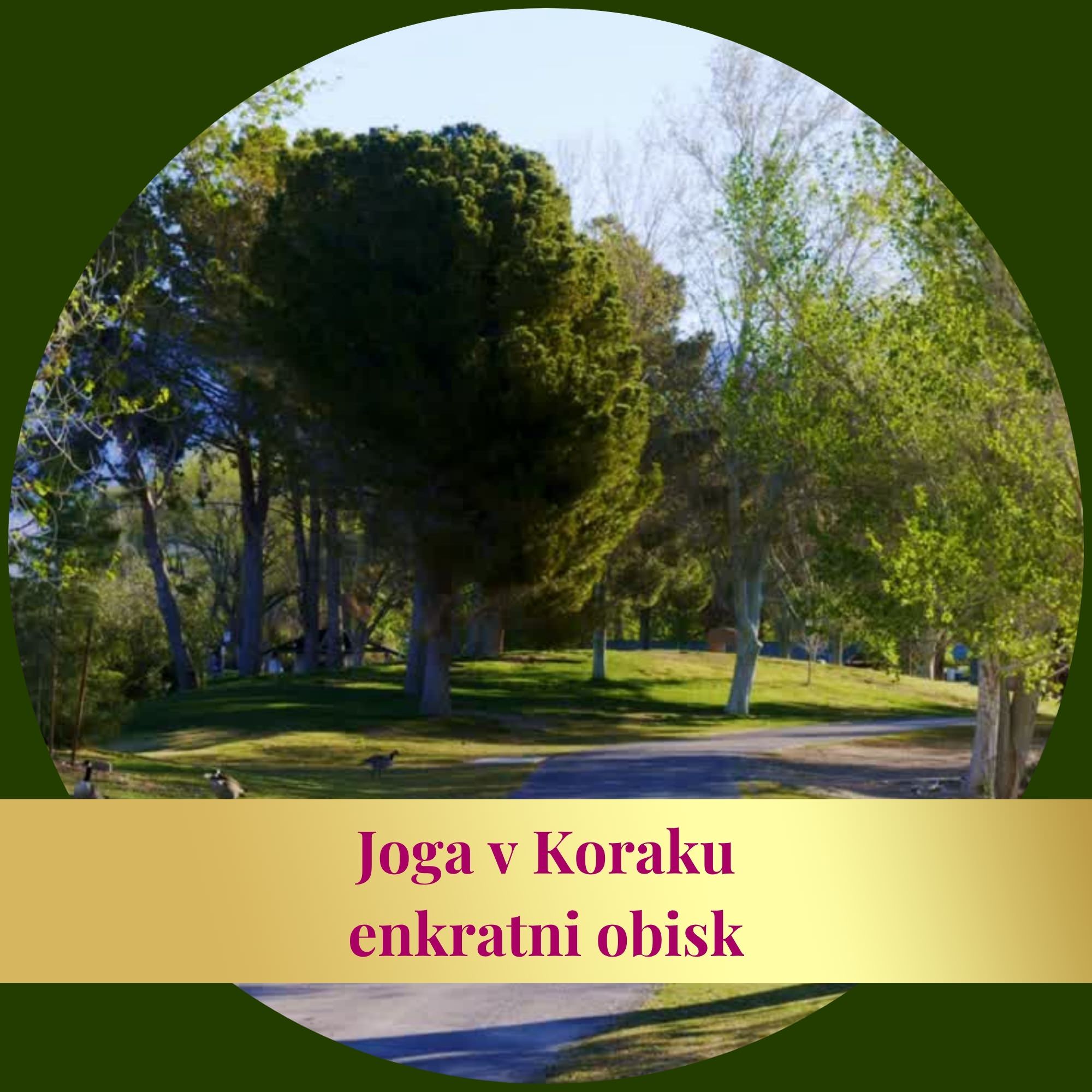 Joga v Koraku z Naravo - enkratni obisk