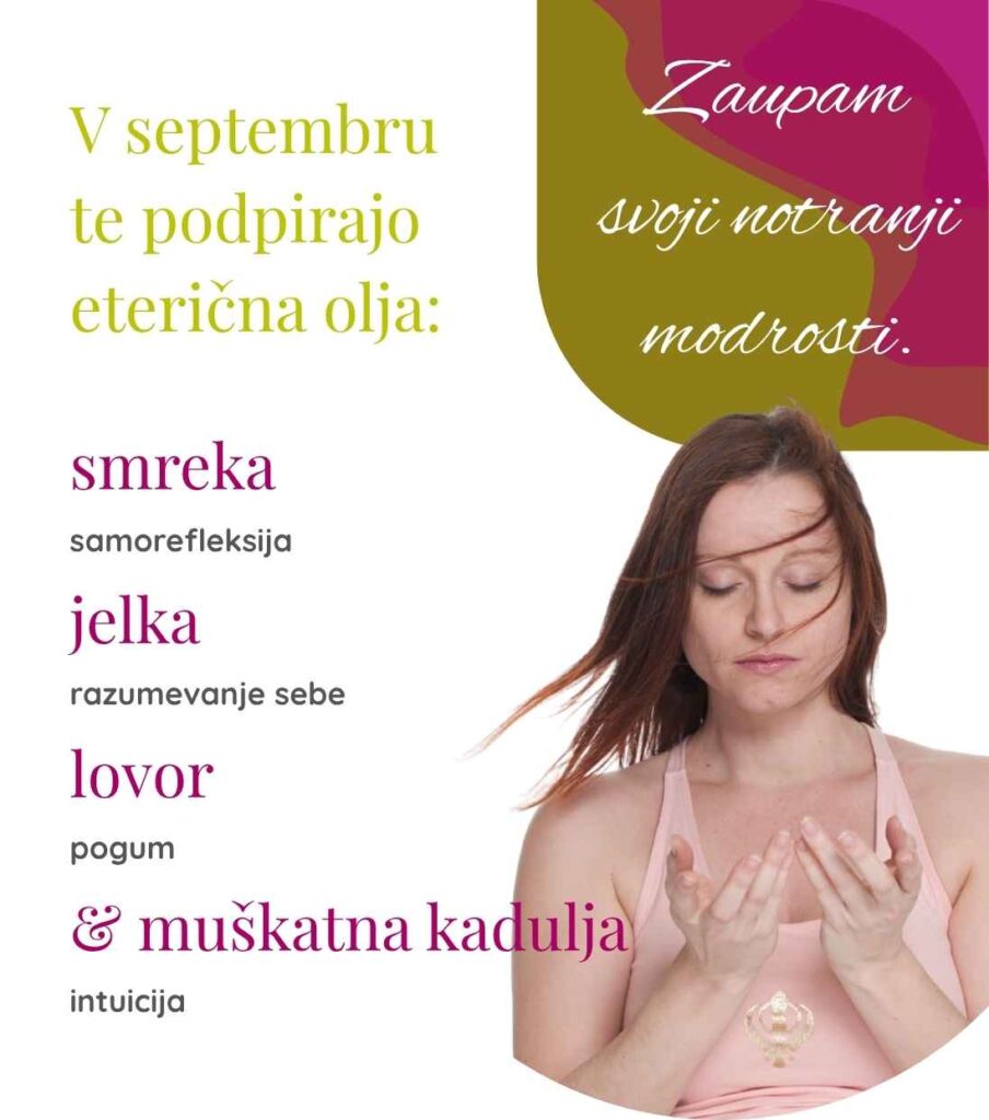 Septembrska eterična olja pri Shakti Dance® – smreka, jelka, lovor in muškatna kadulja